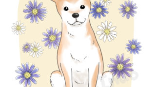 制作実績 いぬおとillustrations